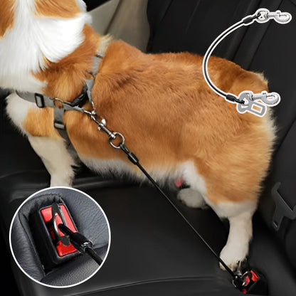 Ceinture-de-Securite-pour-Chien-polyvalences