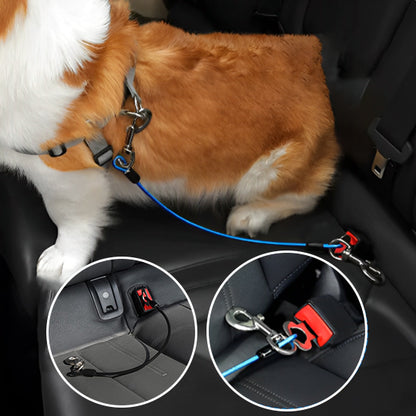 Ceinture-de-Securite-pour-Chien-securité