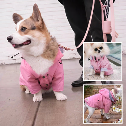 Chien-Impermeable-pluies