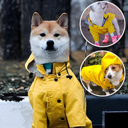 Chien-Impermeable-produits-qualite