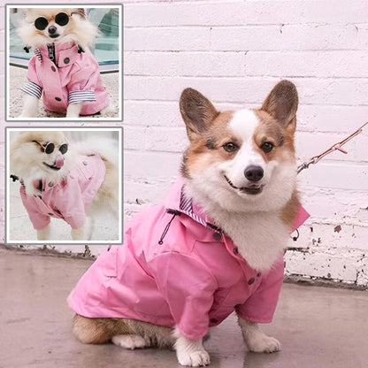 Chien-Impermeable-vetements-durables