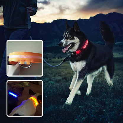 Collier-Lumineux-Pour-Chien-Charges