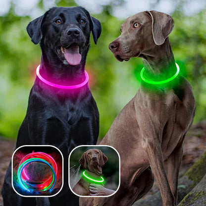 Collier-Lumineux-Pour-Chien-Leds