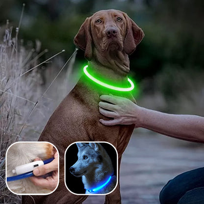 Collier-Lumineux-Pour-Chien-USB-led