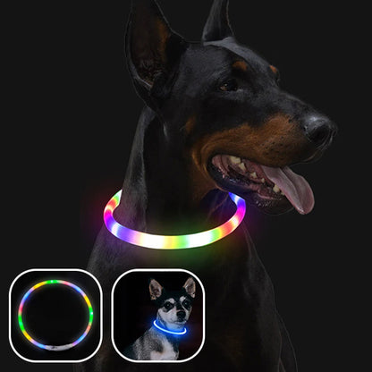 Collier-Lumineux-Pour-Chien-colores