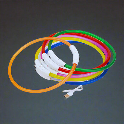 Collier-Lumineux-Pour-Chien-couleur