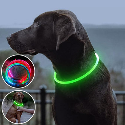 Collier-Lumineux-Pour-Chien-securites