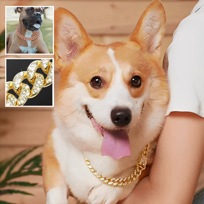 Collier-Pour-Chien-Alliages