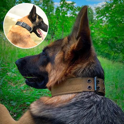 Collier-Pour-Chien-De-Dressage-ajustements