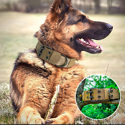 Collier-Pour-Chien-De-Dressage-conforts