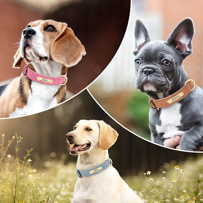 Collier-Pour-Chien-Personnalisé-elegances