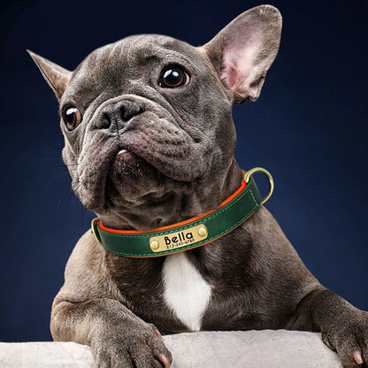 Collier-Pour-Chien-Personnalise-chic