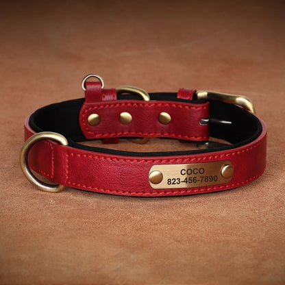 Collier-Pour-Chien-Personnalise-designs
