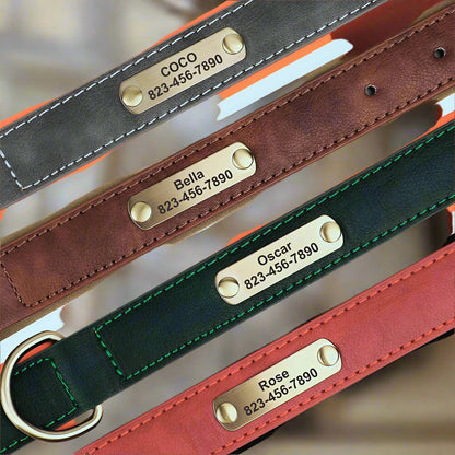 Collier-Pour-Chien-Personnalise-elegances