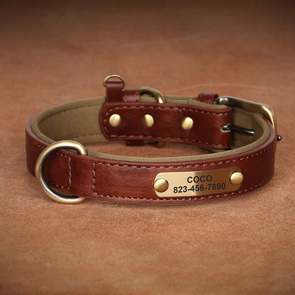 Collier-Pour-Chien-Personnalise-gravures