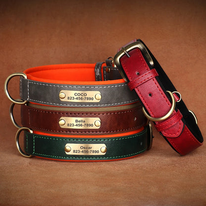 Collier-Pour-Chien-Personnalise-uniques
