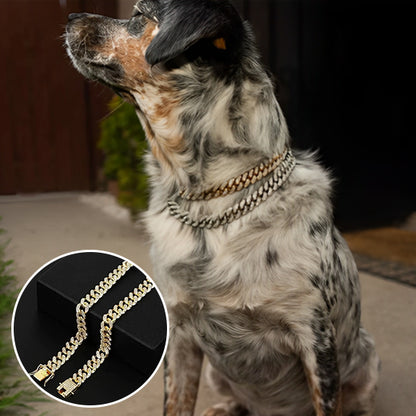 Collier-Pour-Chien-Scintillants
