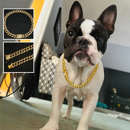 Collier-Pour-Chien-ajustements