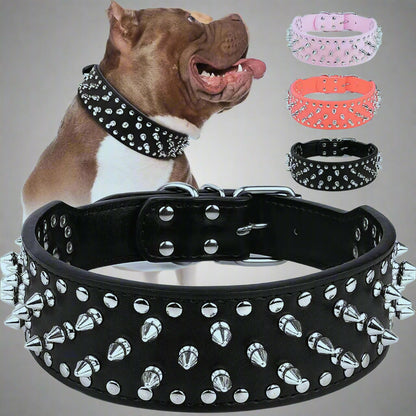 Collier-Pour-Chien-en-Cuir-couleur