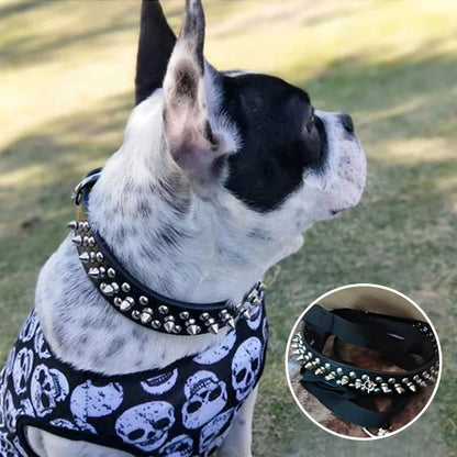 Collier-Pour-Chien-en-Cuir-resistance