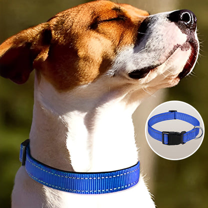 Collier-pour-chien-confortables