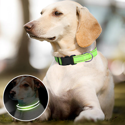 Collier-pour-chien-vertfluo