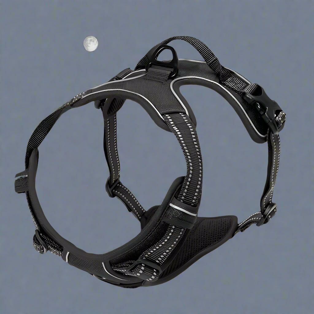 Harnais-Anti-Traction-Chien-Noir-nuit