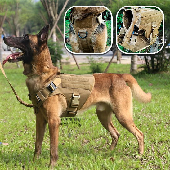 Harnais-Anti-Traction-Chien-Tactique