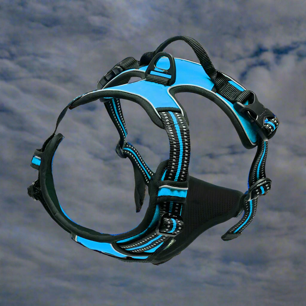 Harnais-Anti-Traction-Chien-bleu-ciel