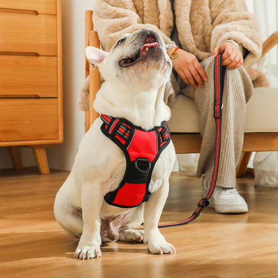Harnais-Anti-Traction-Chien-r-rouge