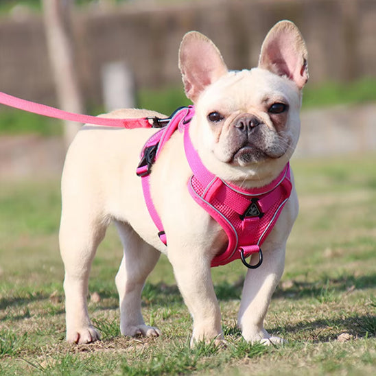 Harnais-Anti-Traction-Chien-roserouge