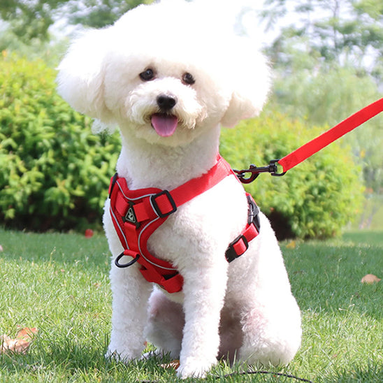 Harnais-Anti-Traction-Chien-rouge