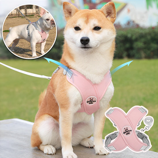 Harnais-Chien--rose-reflechissant