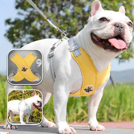Harnais-Chien-X-jaune
