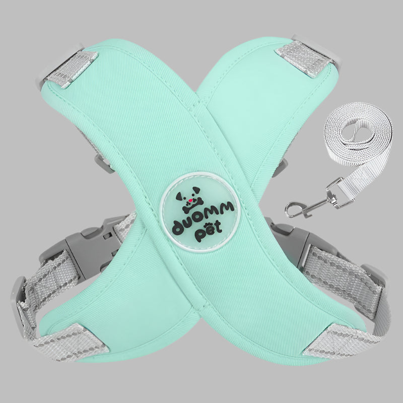 Harnais-Chien-X-vert
