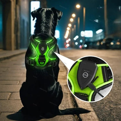 Harnais-Chien-autonomie-impressionnant