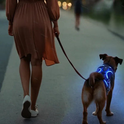Harnais-Chien-led-bleu-nuit