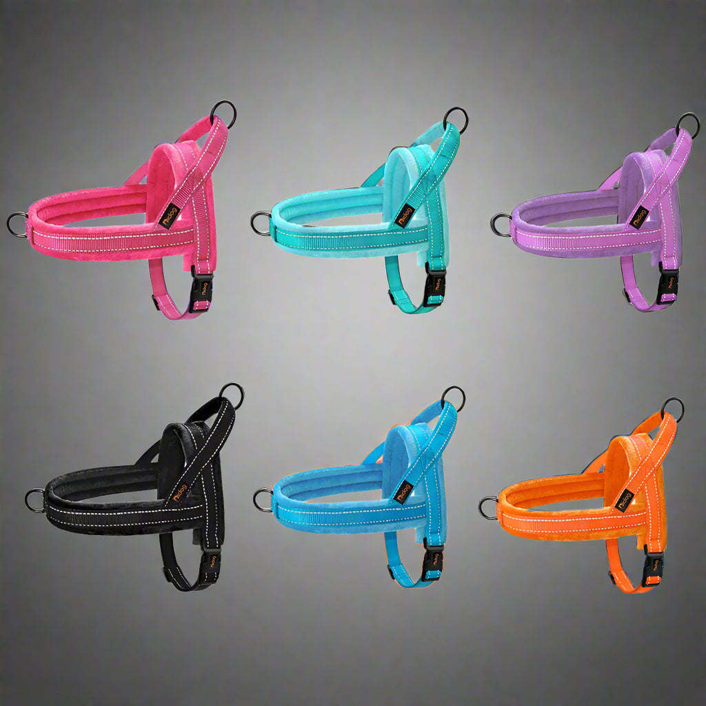 Harnais-pour-chien-choix-couleurs