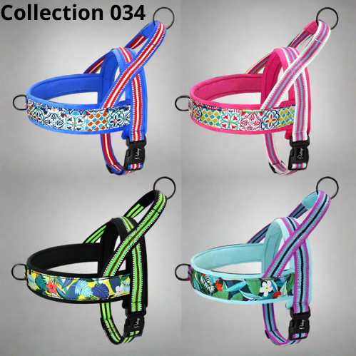 Harnais-pour-chien-collection-034