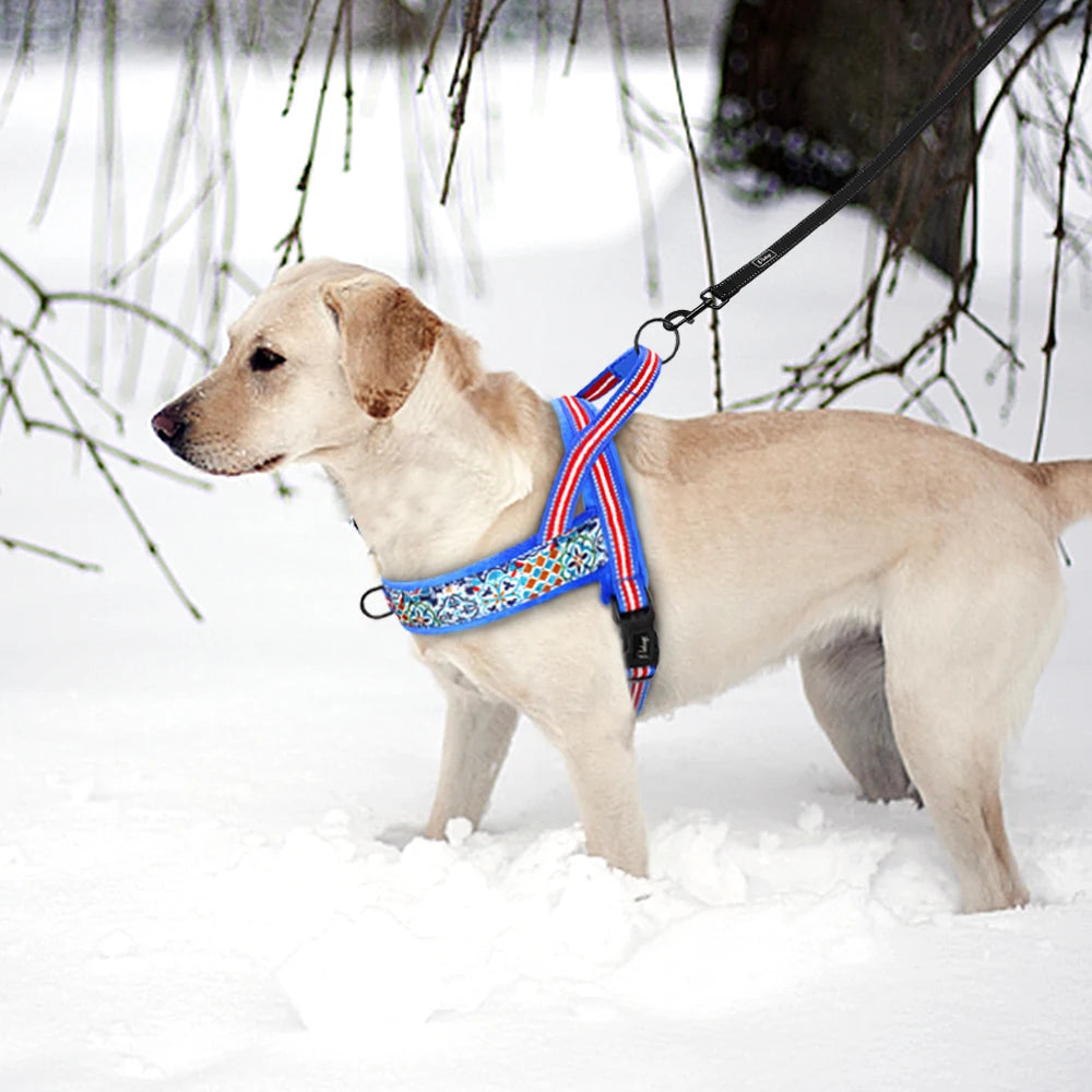 Harnais-pour-chien-warm-Bleu