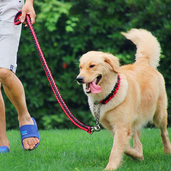 Laisse-Chien-Couleurs-rouge-noir