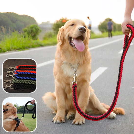 Laisse-Chien-Couleurs