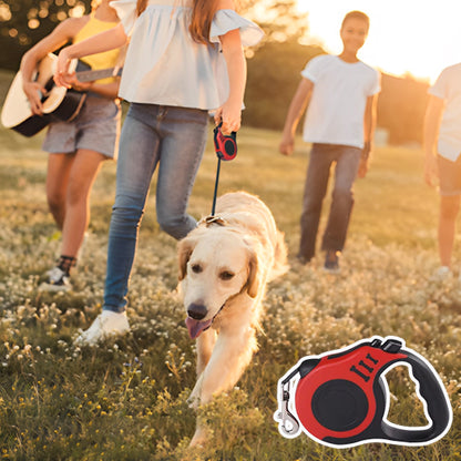 Laisse-Pour-Chien-balades