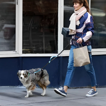 Laisse-Pour-Chien-bleu-pale