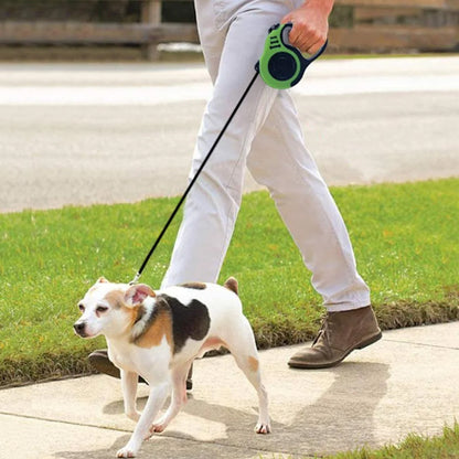 Laisse-Pour-Chien-promenade