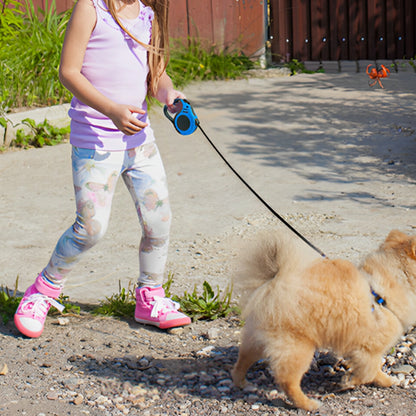 Laisse-Pour-Chien-sortie