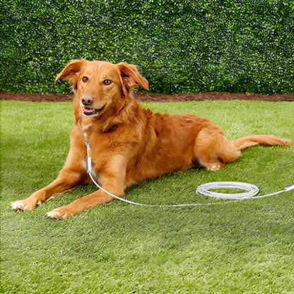 Longe-Pour-Chien-cable-attache-rapide-exterieur