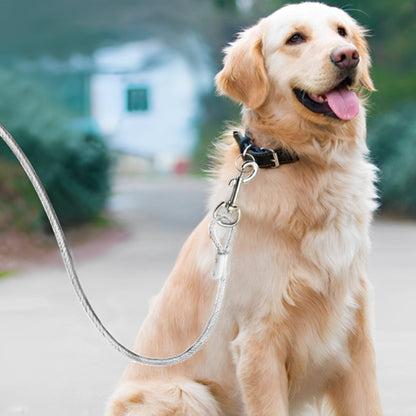Longe-Pour-Chien-cable-test-rigoureux