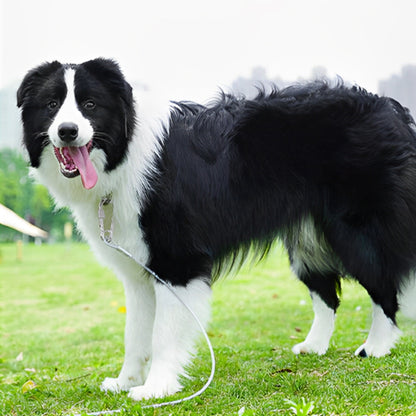 Longe-Pour-Chien-cable-verrouillage-attache-rapide-exterieur