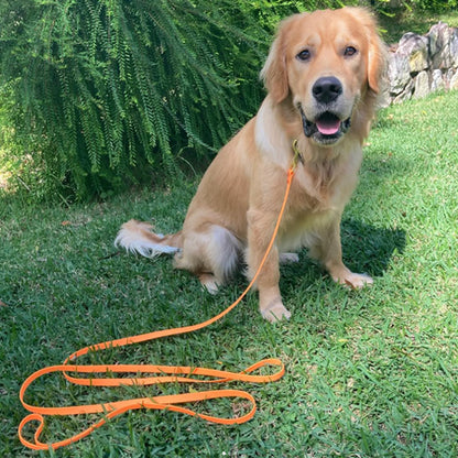 Longe-Pour-Chien-longue-confort
